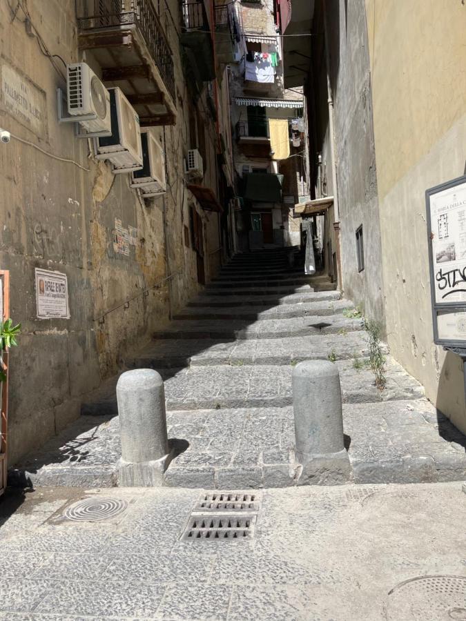 Appartamento Nase E Cane Napoli